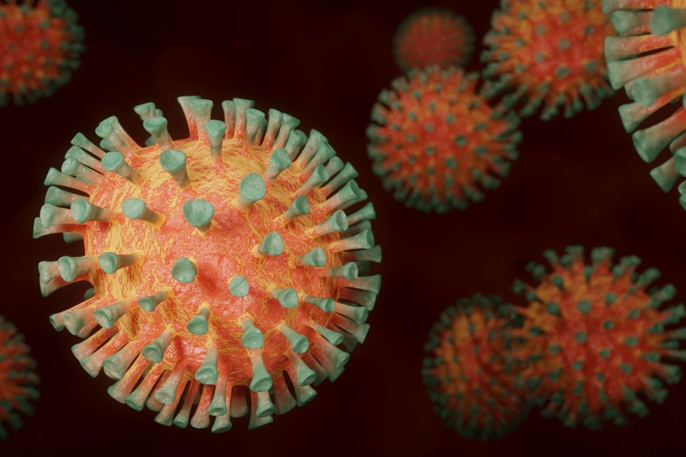 Vírus: o único organismo acelular terrestre